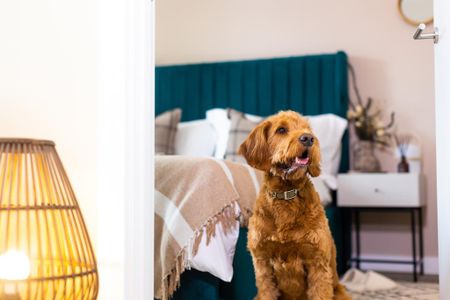 3 bedroom flat to rent - Photo 2