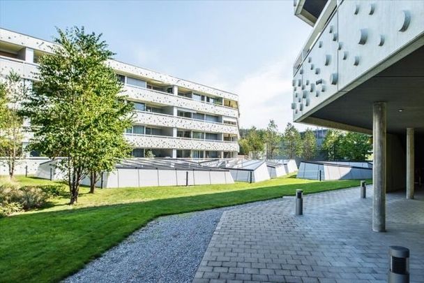 Living with your own concierge at Rosenberg - Photo 1