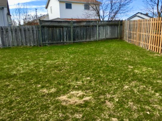 For Lease - 7701 Cortina Crescent Unit# Upper, Niagara Falls, Ontario - Photo 1