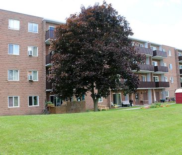 Two Bedroom Apartment - Photo 3