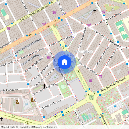 Mont-Olivet, València