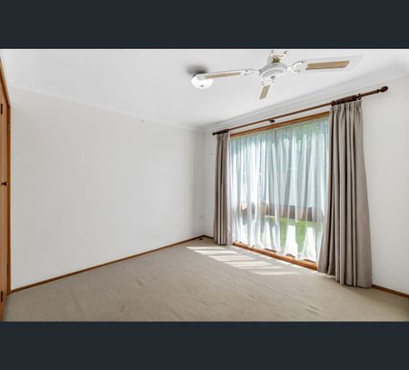 24 Nautilus Crescent, St Huberts Island, NSW 2257 - Photo 4