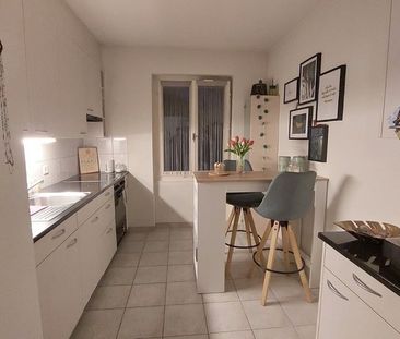 "Tolle Wohnung am Fusse des Uetlibergs" - Photo 6