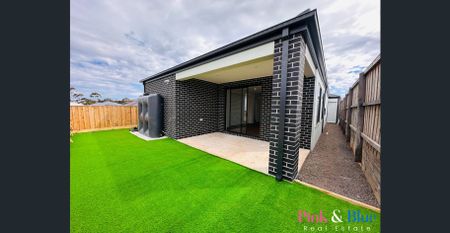 Brand new 4 Bedroom Family Home for Rent! - Photo 4