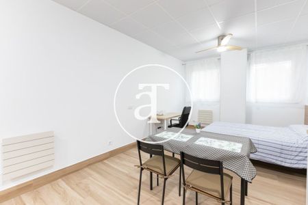 Monthly rental Studio with 1 bedroom, 1 bathroom in Latina - Photo 5