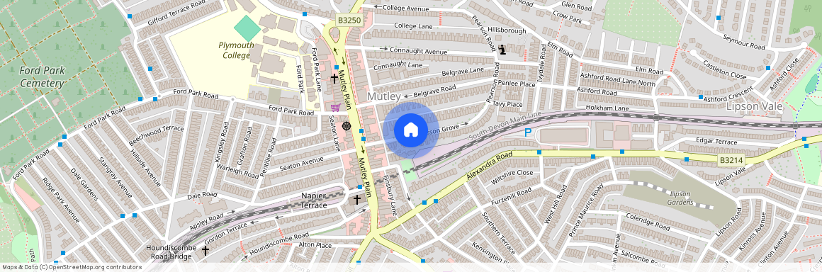 Lisson Grove, Plymouth