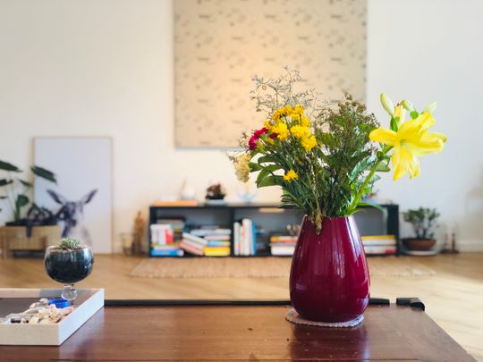 2E/153 Bayswater Road, Rushcutters Bay NSW 2011 - Apartment For Rent | Domain - Photo 1