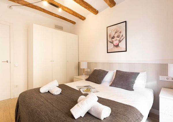 Elegant Two Bedroom Apartment in Poblenou