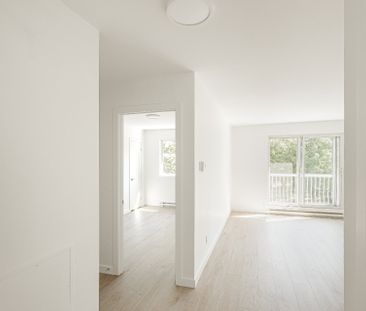 6235 Rue La Dauversière - Photo 2