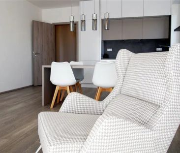 Pronájem luxusního bytu 2+kk Pitkovice - Photo 6