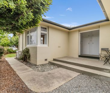 What A Find! - Photo 6