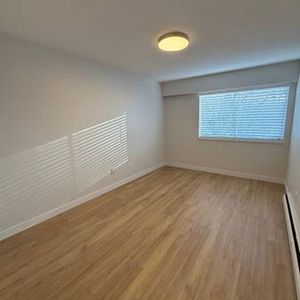 Fully Renovated 1 Bedroom - Photo 2