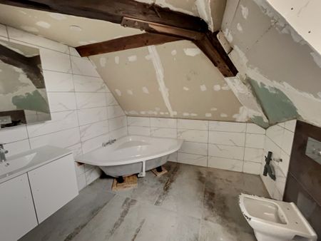 Location Appartement 1 pièce 22m² SELESTAT 67600 - Photo 5