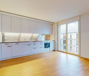 In the countryside - in the middle of Zurich - Photo 5