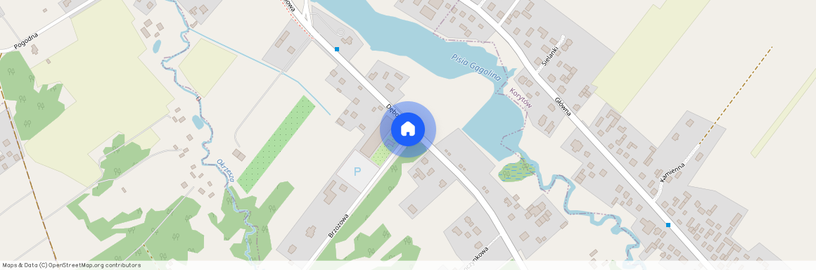 Żyrardowski, Radziejowice, Korytów