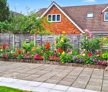 1 bedroom in a house share to rent - Photo 5