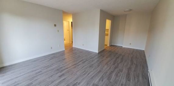 Renovated 1-Bed 1-Bath Unit in Mount Pleasant - Photo 2