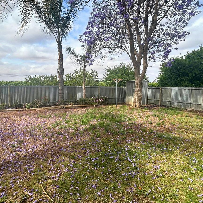 Step Inside to Style – A Hidden Gem Awaits! - Photo 1