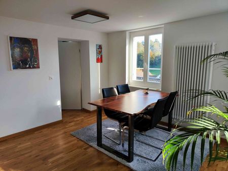 POUR UNE PERSONNE SEULE À ALTSTÄTTEN (SG), MEUBLÉ, TEMPORAIRE - Foto 3