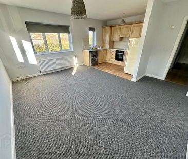 5 Glenmount Courtyard, Newtownabbey, BT36 7QG - Photo 1