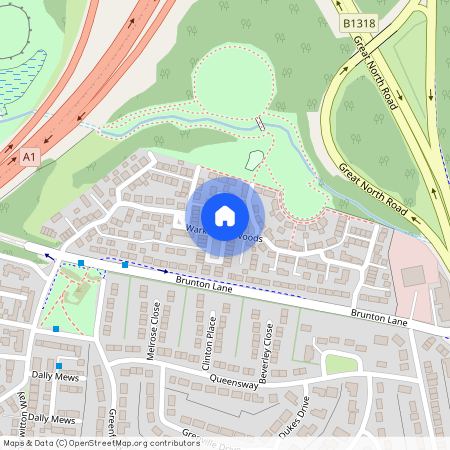Warkworth Woods, Great Park, Gosforth, Newcastle upon Tyne