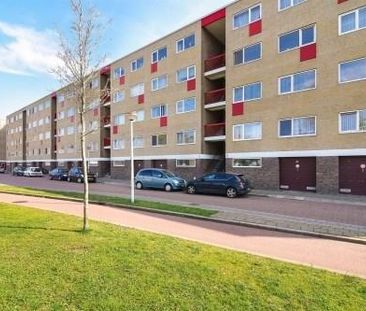 Twiskeweg 0ong, 1504 AA Zaandam, Nederland - Foto 1