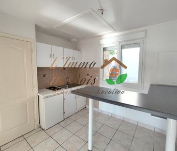 Location Appartement 2 pièces 33m² CHAVANAY 42410 - Photo 5