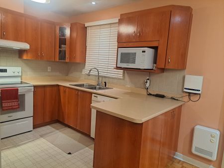 Rue Émile-Gauthier, H8R 4B9, Montréal - Photo 3