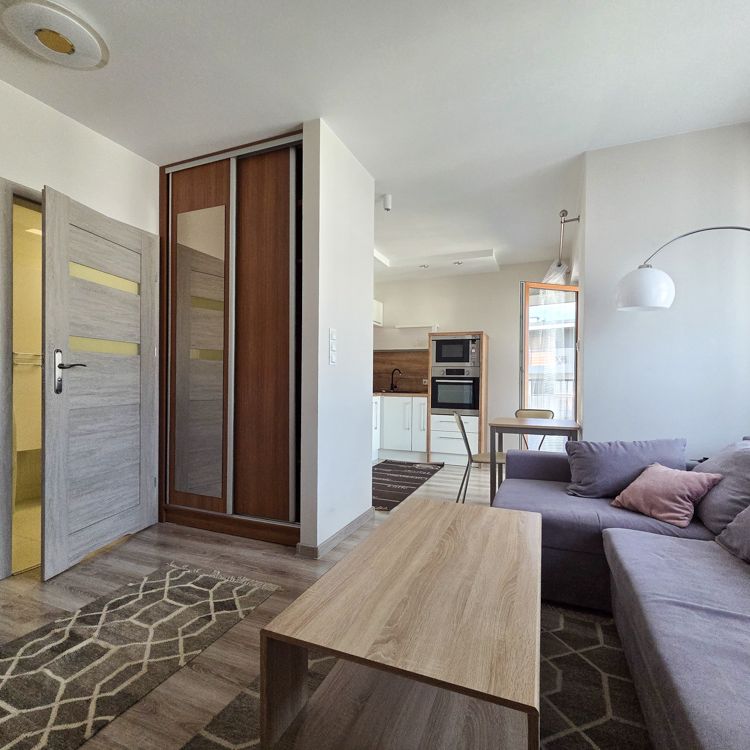 Wynajem mieszkania Poznań Wilda ul. Różana | 37 m² | 2 pokoje - Photo 1