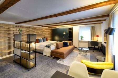 "Neues möbliertes Loft an sehr zentraler Lage in Altdorf" - Photo 5