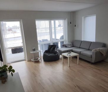 Rummelig lejlighed med terrasse i moderne ejendom - Photo 4