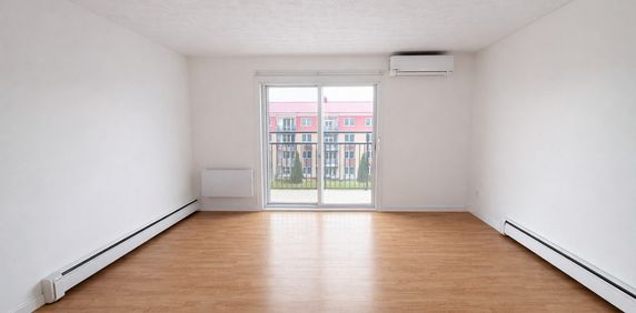 41/2 Central - Photo 2