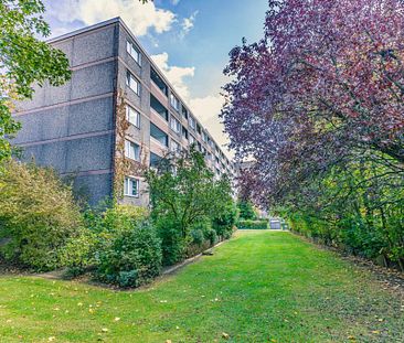 Demnächst frei! In Sanierung: 2-Zimmer-Wohnung in Laatzen - Foto 5