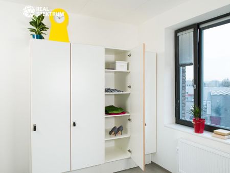 Pronájem bytu 2+1 50 m2 - Fotografie 4