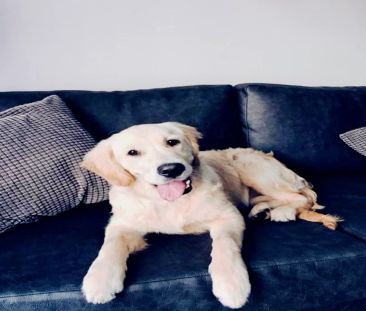 One Bed Apartment - Photo 2