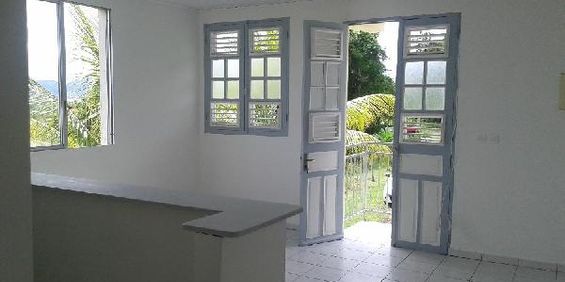 Le Lamentin - Appartement - F2 - Photo 3