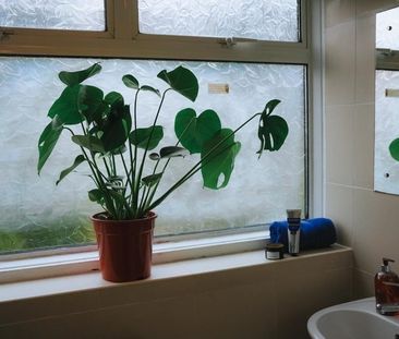 Room in a Shared House, Trundleys Road, SE8 - Photo 6