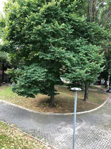 Appartement Aix-en-provence - 1 pi�ce(s) - 15.33 m2, - Photo 3