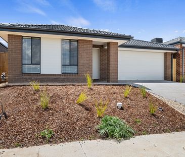 Brand New 4 Bedroom Family Home - Photo 5