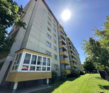 Großzügige 2-Raum-Erdgeschosswohnung in zentraler Lage - Photo 3