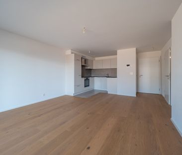Appartement 1.5 pièces au rez à louer ! - Photo 1