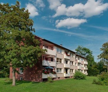 Frisch renovierte 4-Zimmer-Wohnung in zentraler Lage von Ibbenbüren! - Photo 2