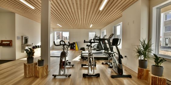 4 ½ à Louer, Gym Inclus! - Photo 3