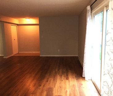 557B Rosehill Street - Photo 3