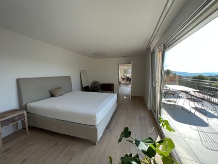 Möblierte Attika - Traumsicht über Zürich bis Uetliberg - neuwertig - Photo 3