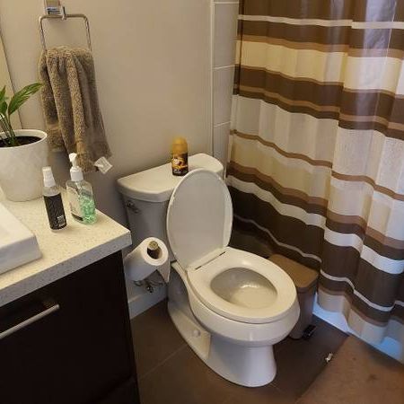 2 bed/ 2 bath apartment new university of Alberta - Photo 4