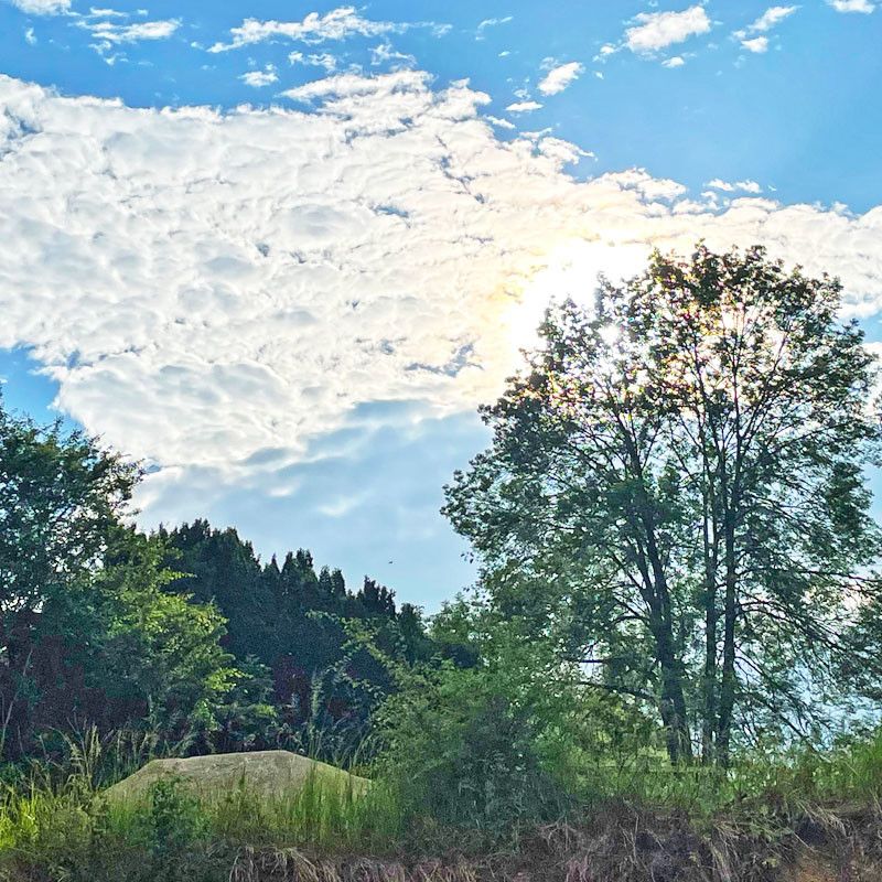 Erstbezug im König-Albert-Park - Photo 1