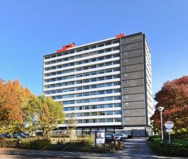 Hogeschoorweg 0ong, 5911 EJ Venlo, Nederland - Photo 1