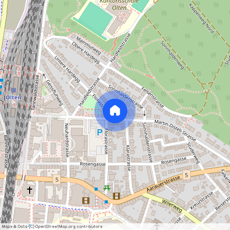 4600, Olten, Martin-Disteli-Strasse, 45