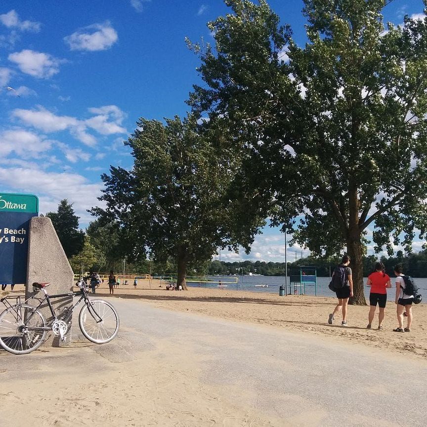 For Lease - 732 Mooney's Bay Place, Billings Bridge - Riverside Park and Area, Ontario - Photo 1